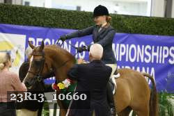 23R13_10660 thumbnail