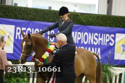 23R13_10661 thumbnail