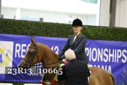 23R13_10665 thumbnail