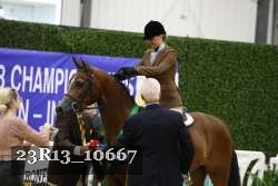 23R13_10667 thumbnail
