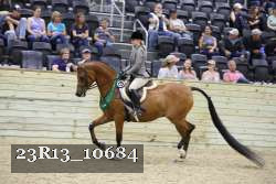 23R13_10684 thumbnail