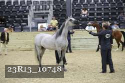 23R13_10748 thumbnail