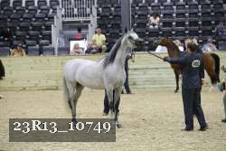 23R13_10749 thumbnail