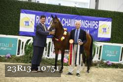 23R13_10751 thumbnail