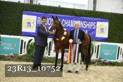 23R13_10752 thumbnail