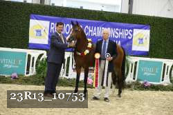23R13_10753 thumbnail
