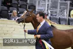 23R13_10758 thumbnail