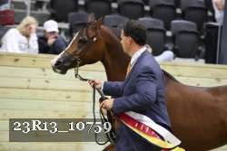 23R13_10759 thumbnail