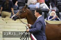 23R13_10760 thumbnail