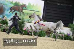 23R13_10761 thumbnail