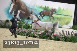 23R13_10762 thumbnail