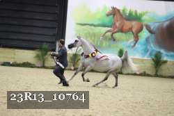23R13_10764 thumbnail