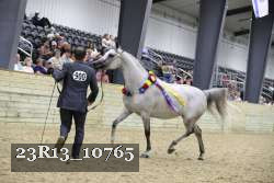 23R13_10765 thumbnail