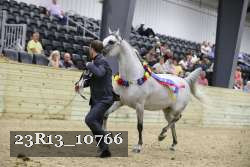 23R13_10766 thumbnail