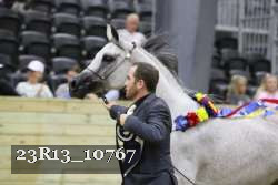 23R13_10767 thumbnail