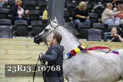 23R13_10768 thumbnail