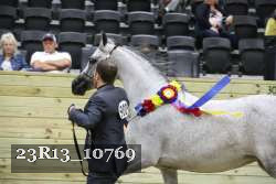23R13_10769 thumbnail