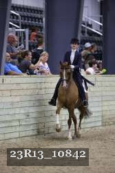 23R13_10842 thumbnail