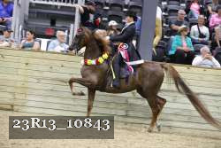 23R13_10843 thumbnail