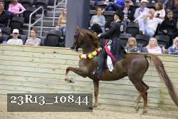 23R13_10844 thumbnail