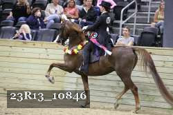 23R13_10846 thumbnail