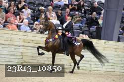 23R13_10850 thumbnail
