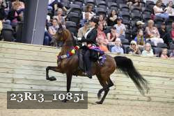 23R13_10851 thumbnail