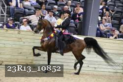 23R13_10852 thumbnail