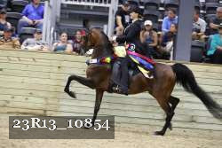 23R13_10854 thumbnail
