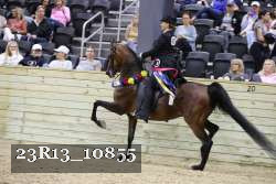 23R13_10855 thumbnail