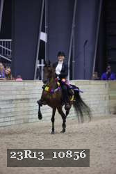 23R13_10856 thumbnail