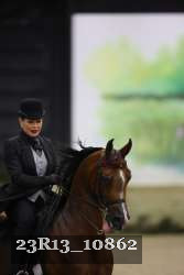 23R13_10862 thumbnail