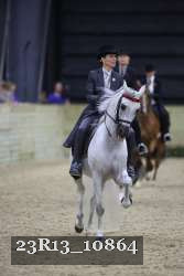 23R13_10864 thumbnail