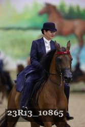 23R13_10865 thumbnail