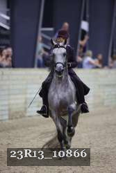 23R13_10866 thumbnail
