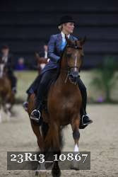 23R13_10867 thumbnail