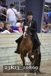 23R13_10869 thumbnail