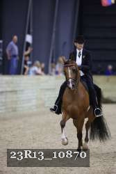 23R13_10870 thumbnail