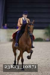 23R13_10871 thumbnail