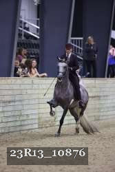 23R13_10876 thumbnail