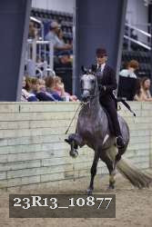 23R13_10877 thumbnail