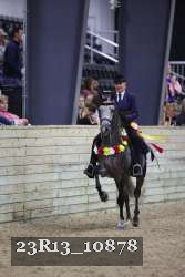 23R13_10878 thumbnail