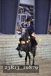 23R13_10879 thumbnail