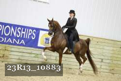 23R13_10883 thumbnail