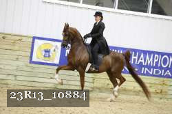 23R13_10884 thumbnail