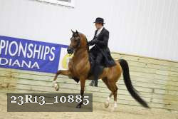 23R13_10885 thumbnail