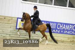 23R13_10886 thumbnail