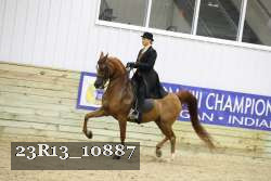 23R13_10887 thumbnail