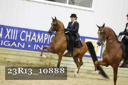23R13_10888 thumbnail