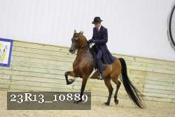 23R13_10889 thumbnail